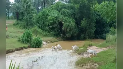 झारखंड : बारिश होते ही पूर्वी सिंहभूम के कई गांवों के ग्रामीण घरों में हो जाते कैद, जानें कारण