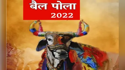 Bail Pola 2022: किसानों के सारथी बैलों को ऐसे दें धन्यवाद, आज मनाएं बैल पोला त्योहार