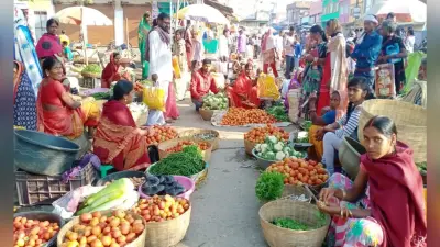 Bihar News : कोलार का टमाटर बढ़ायेगा बिहार में व्यंजन का स्वाद, कीमत में भी होगी भारी गिरावट !