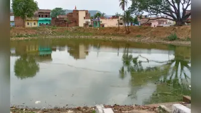 बिहार में जीविका दीदी का बढ़ा काम, अब एक से पांच एकड़ तक के 111 तालाबों का रखरखाव भी करेंगी