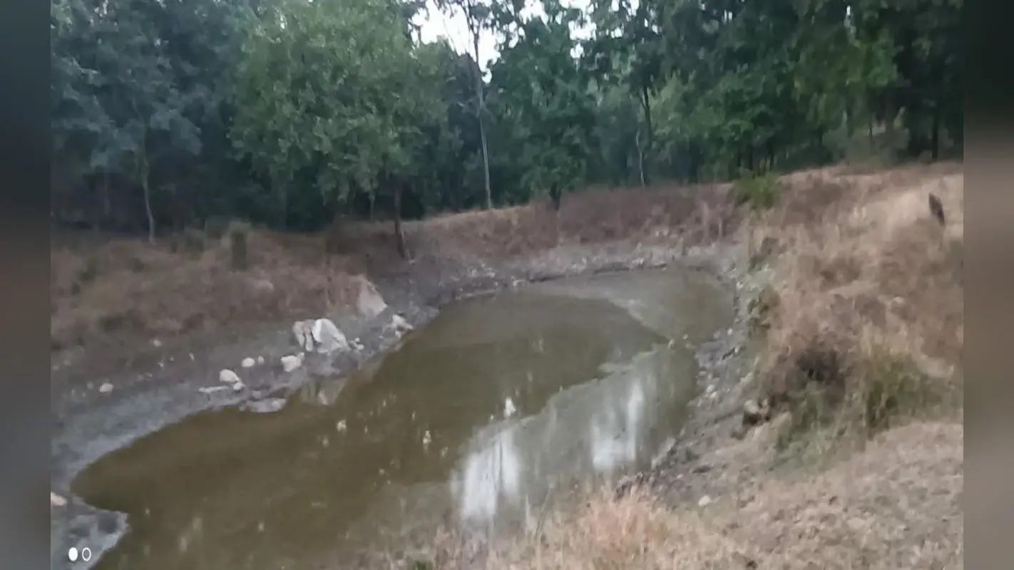 बेतला नेशनल पार्क : जलाशयों में पानी कम, बढ़ सकती है जानवरों की परेशानी, वन विभाग की क्या है तैयारी ?
