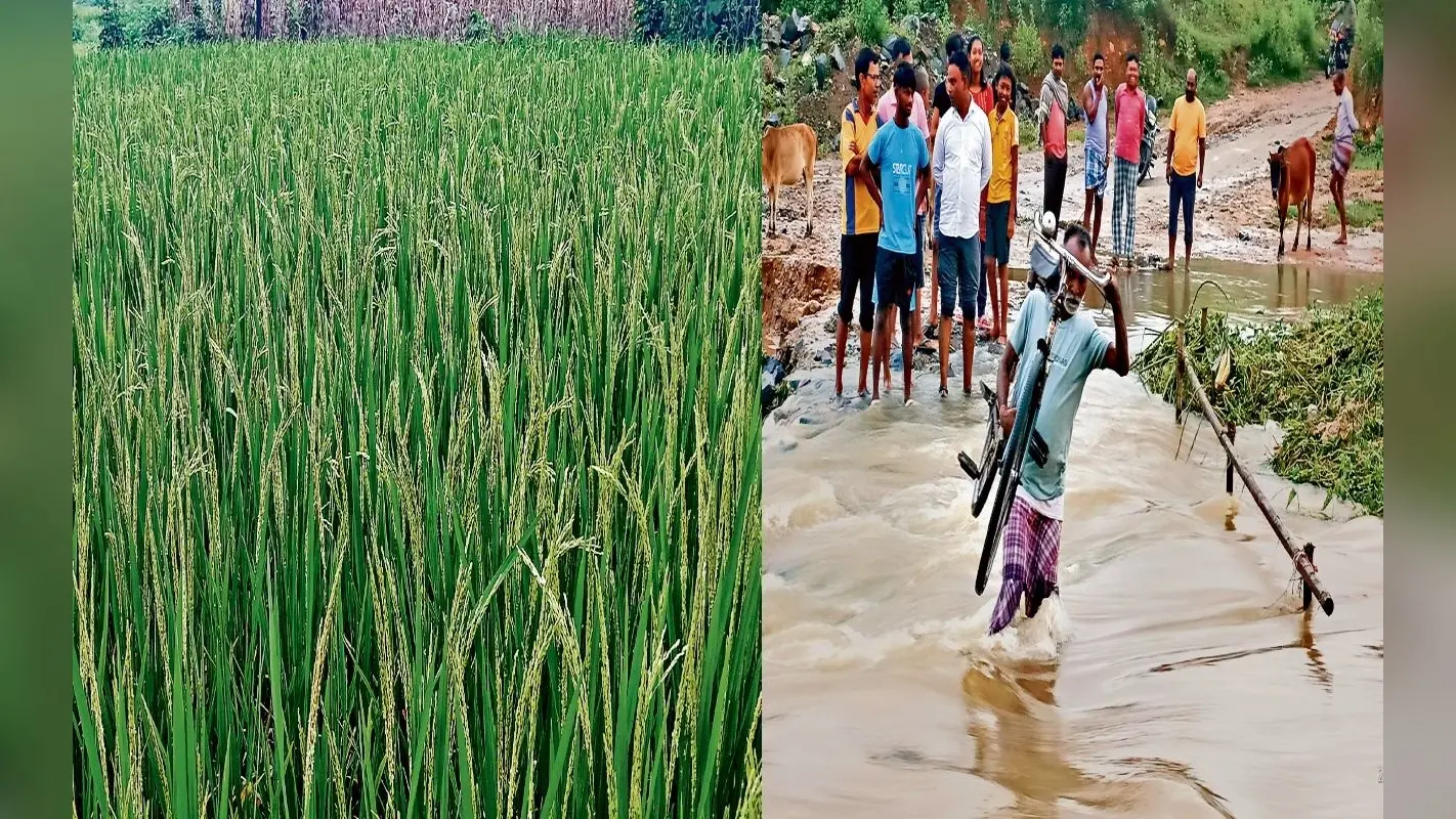 झारखंड में ‘हथिया’ की बारिश से खिल उठे किसान, कई घरों में घुसा पानी, लोगों की बढ़ी परेशानी