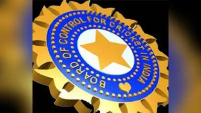 देश के बाहर भी हो सकता है आईपीएल, बीसीसीआई के अधिकारी ने किया बड़ा खुलासा