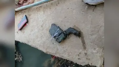 Rat murder case: चूहे की पोस्टमार्टम रिपोर्ट में बड़ा खुलासा, इन बीमारियों से था ग्रसित