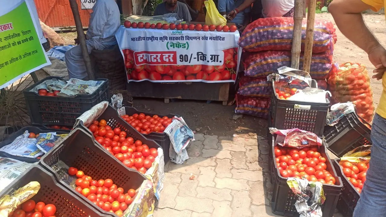 Photo Story: फिर आसमान छूने लगे टमाटर के दाम, मदर डेयरी की दुकानों में बिका 259 रुपये प्रति किलो