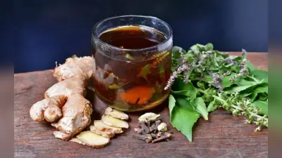 Monsoon Health Tips: बरसात का लीजिए मजा, घबराना क्या जब आपके पास मौजूद है आयुर्वेदिक जड़ी -बूटियां