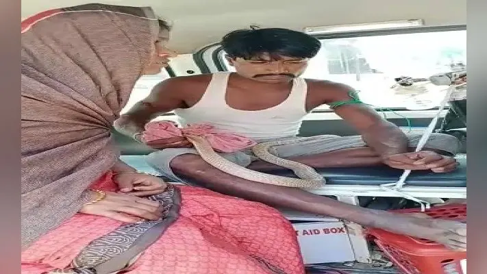घर में जिस सांप ने काटा, उसी को हाथ में उठाकर इलाज कराने अस्पताल पहुंचा युवक