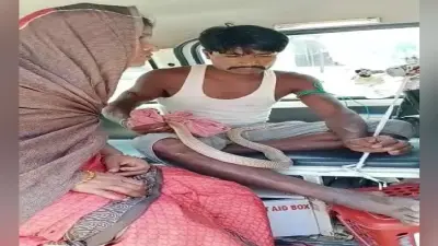 घर में जिस सांप ने काटा, उसी को हाथ में उठाकर इलाज कराने अस्पताल पहुंचा युवक