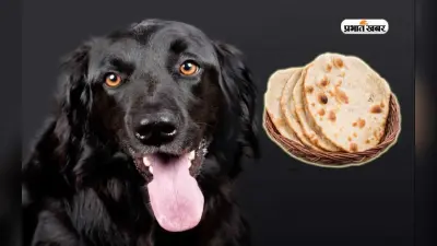 Benefits of Feeding Dog: काला कुत्ता अगर रोटी ना खाए तो जान लें ये बात, हो सकता है ये कारण, ऐसे जागेगा भाग्य