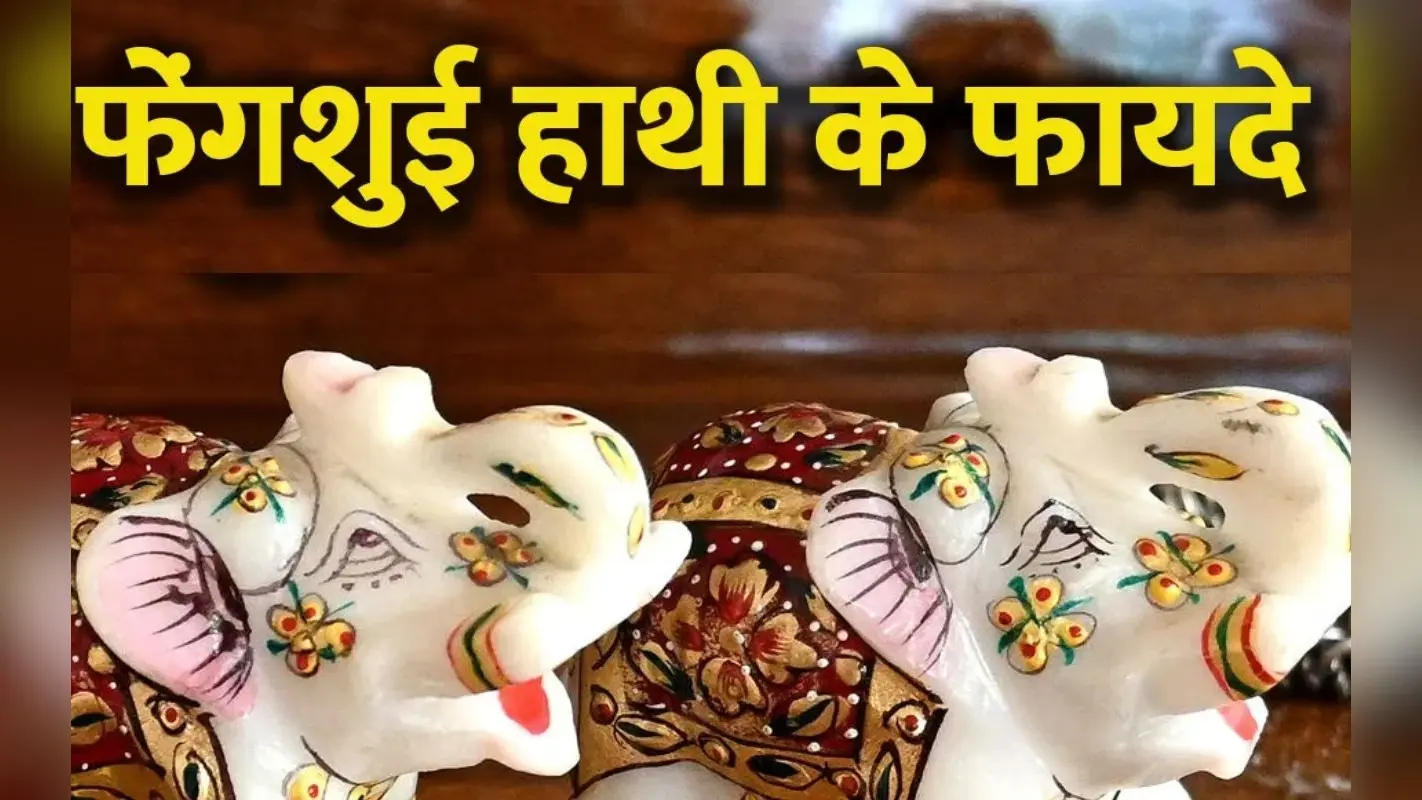 घर में फेंगशुई हाथी की मूर्ति रखने के हैं कई फायदे, जानें इसे रखने का सही तरीका, दिशा, रंग समेत डिटेल