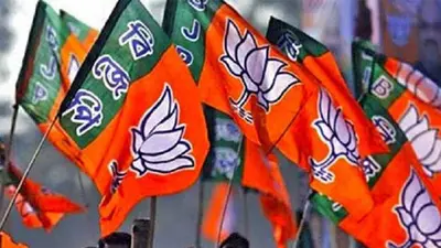 Kashmir Election Results 2020: कश्मीर घाटी में खुला बीजेपी का खाता, श्रीनगर से एजाज हुसैन जीते