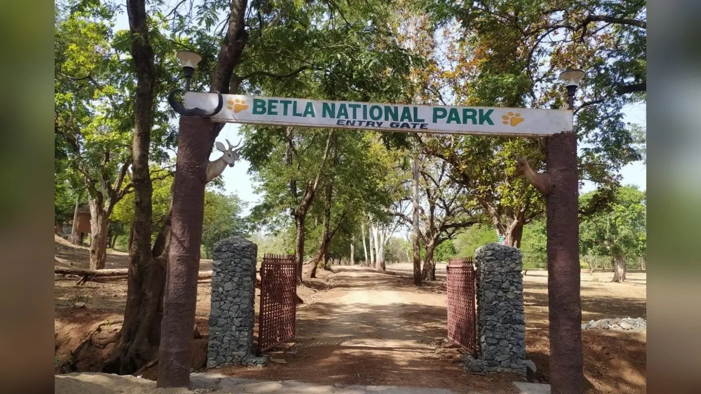 Jharkhand Tourism: बेतला नेशनल पार्क में एक जुलाई से पर्यटकों की नो एंट्री, देख सकेंगे पलामू किला व लोध फॉल