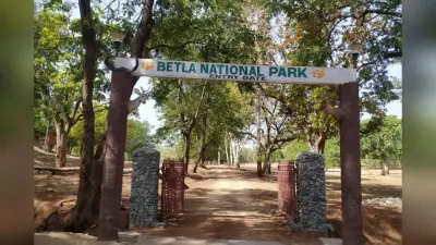 Jharkhand Tourism: बेतला नेशनल पार्क में एक जुलाई से पर्यटकों की नो एंट्री, देख सकेंगे पलामू किला व लोध फॉल