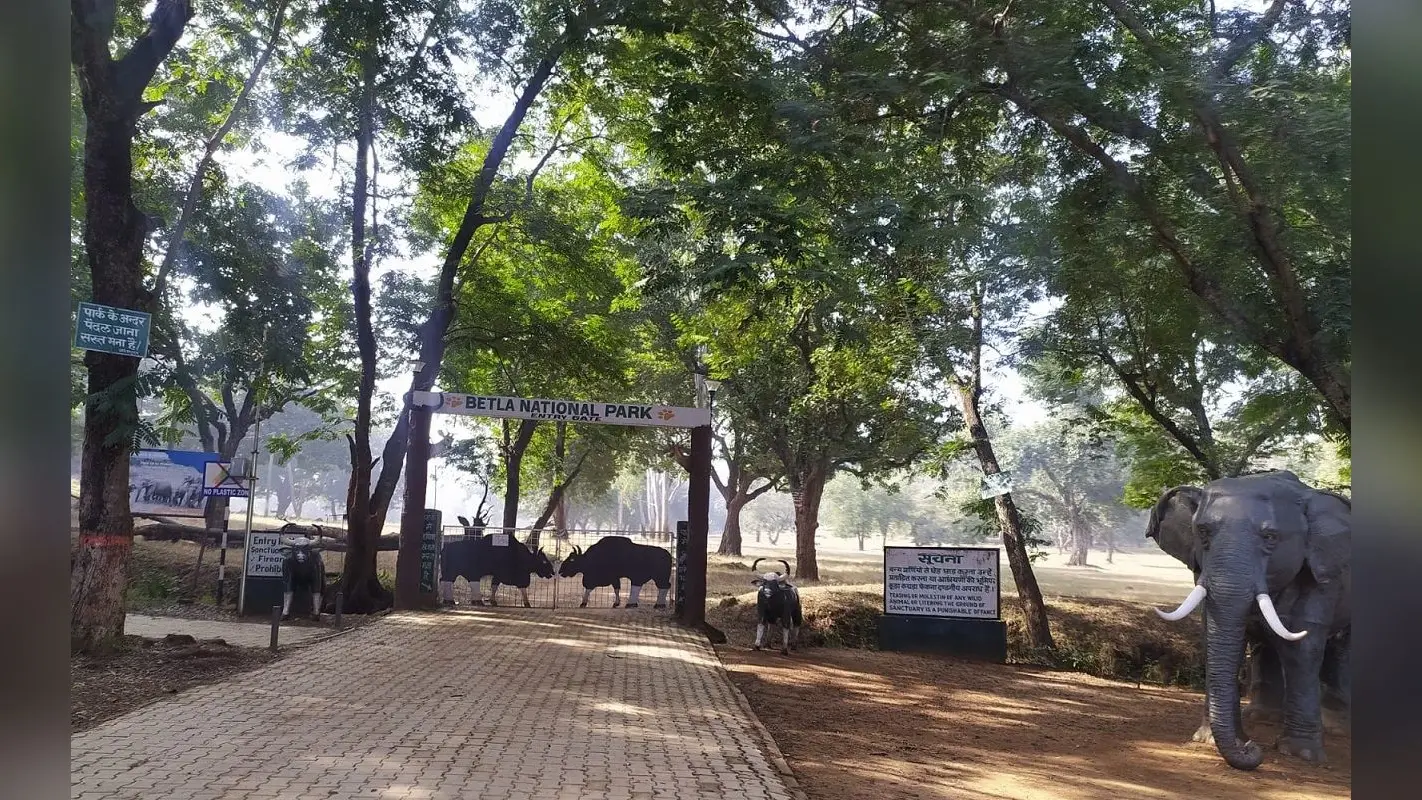 New Year 2023: नये साल के जश्न को लेकर सुरक्षा के पुख्ता इंतजाम, बेतला नेशनल पार्क में उमड़ रहे पर्यटक