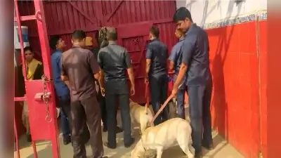 बिहार में अपराध पर लगाम लगाने की कवायद, बेऊर जेल में चला सर्च ऑपरेशन, 15 अपराधी शिफ्ट किये गये भागलपुर