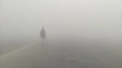 Bihar Weather: भागलपुर के सबौर में सबसे अधिक ठंड व कोहरा, इस इलाके के मौसम का रहस्य कर देगा हैरान, जानें