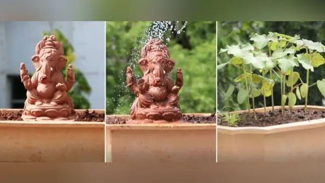 बीज से बनायी भगवान गणेश की इको-फ्रेंडली प्रतिमा, फायदे जानकर होगी बेहद खुशी