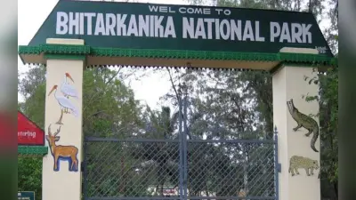 Bhitarkanika National Park: मानसून में प्रवासी जलीय पक्षी का केंद्र है यह उद्यान, जानें क्या कुछ है खास?