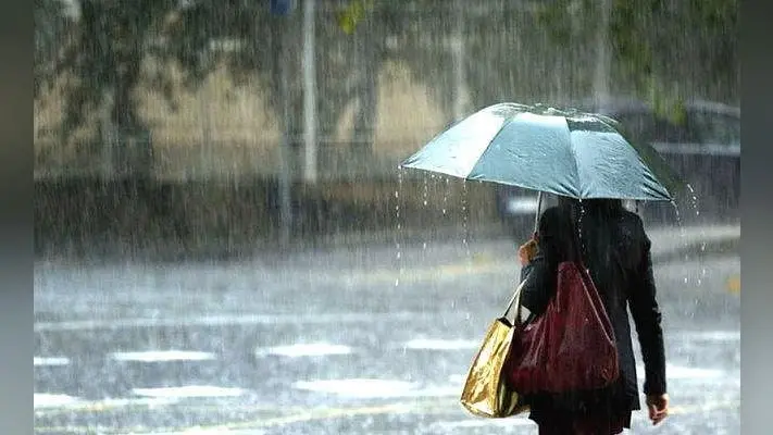 Bihar Monsoon: बिहार में समय से एक दिन पहले मॉनसून ने दी दस्तक, पूर्णिया-किशनगंज में झमाझम बारिश