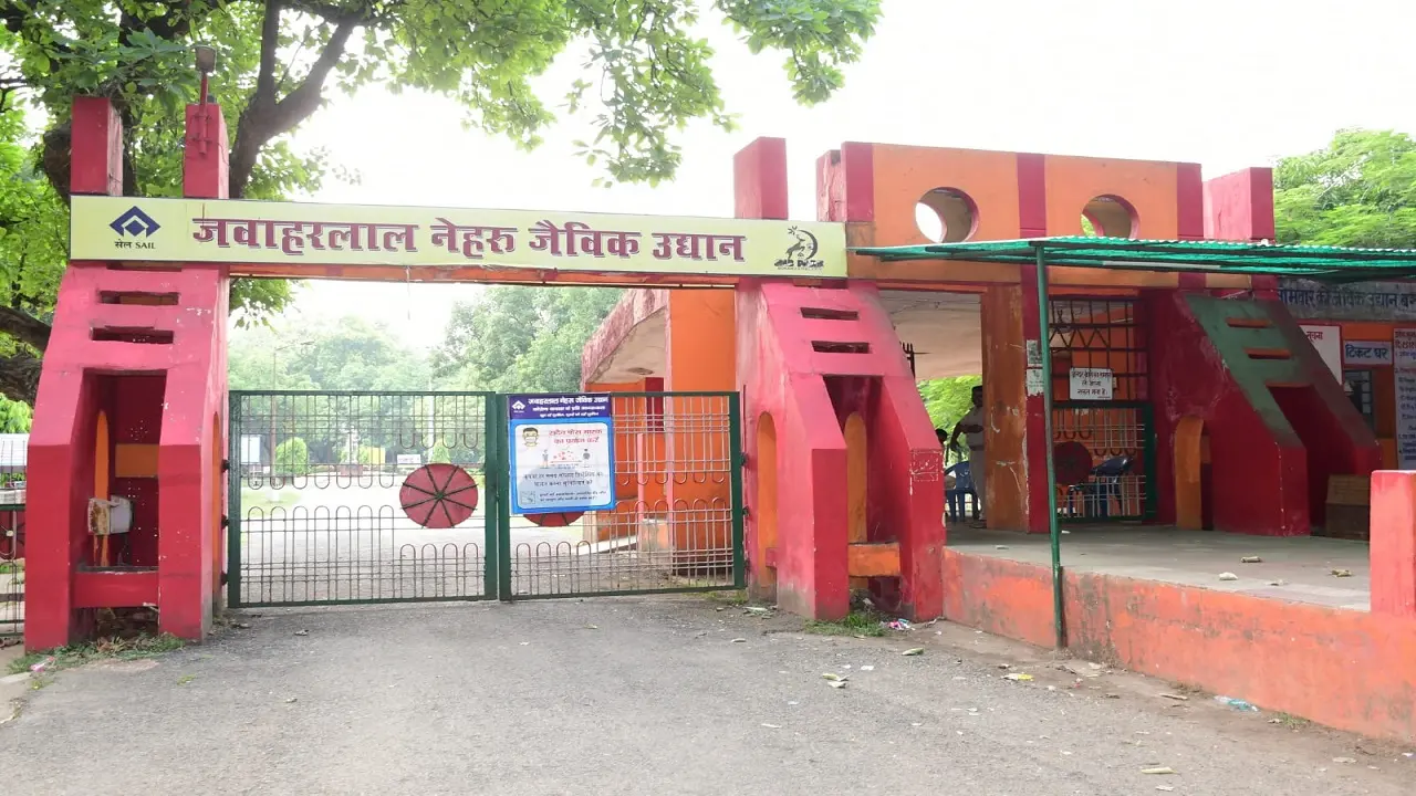 Jharkhand News: बोकारो जैविक उद्यान में दिखेगा तितलियों का खूबसूरत संसार, बटरफ्लाई पार्क का मिलेगा तोहफा