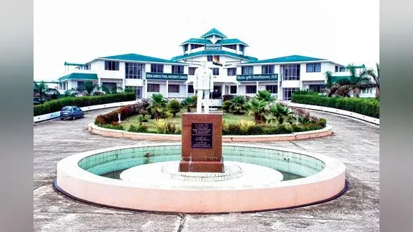 राज्य में तिल की खेती को बढ़ावा देगा बीएयू