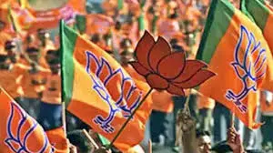 लोहरदगा में भाजपा ने शुरू किया मिलेट को लेकर जागरूकता अभियान