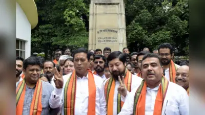 राज्यसभा के लिए भाजपा उम्मीदवार अनंत महाराज ने भरा नामांकन