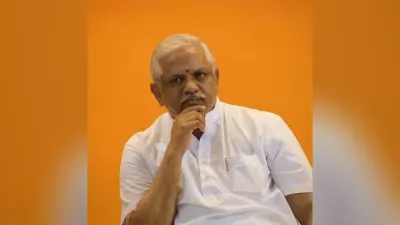 कोरोना को हराने के लिए आगे आयें बीजेपी कार्यकर्ता- बीएल संतोष