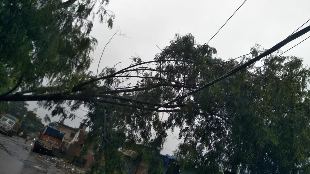 झारखंड में मूसलाधार बारिश से बिजली व्यवस्था बेपटरी, हजारीबाग में 48 घंटे से ब्लैकआउट