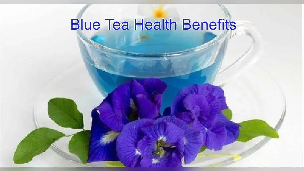 Blue Tea Health Benefits: ब्लू टी क्या है? ब्लू टी पीने से होने वाले सेहत संबंधी फायदों के बारे में जानें