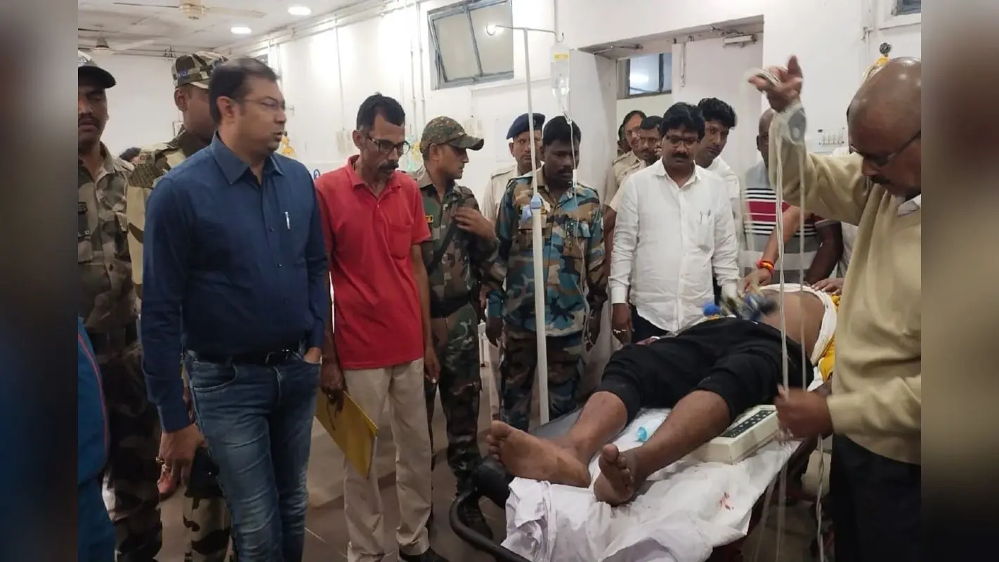 झारखंड : गोमिया के जंगलो में केंदू पेड़ का भंडार, पत्ते तोड़ ले जा रहे ग्रामीण, सरकार को लाखों का नुकसान