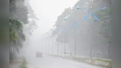 Monsoon, Weather Forecast, Jharkhand In PICS: रांची, लोहरदगा समेत कई जिलों में मेघ गर्जन के साथ मूसलाधार बारिश
