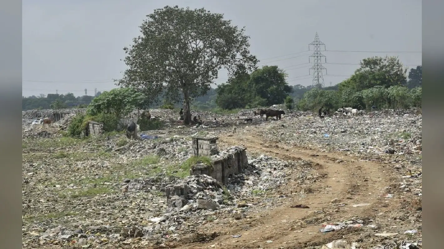 गोड्डा : सात वर्षों में भी चालू नहीं हो सका सॉलिड वेस्ट मैनेजमेंट का कचरा रिसाइक्लिंग प्लांट