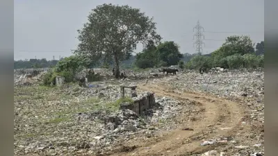 गोड्डा : सात वर्षों में भी चालू नहीं हो सका सॉलिड वेस्ट मैनेजमेंट का कचरा रिसाइक्लिंग प्लांट