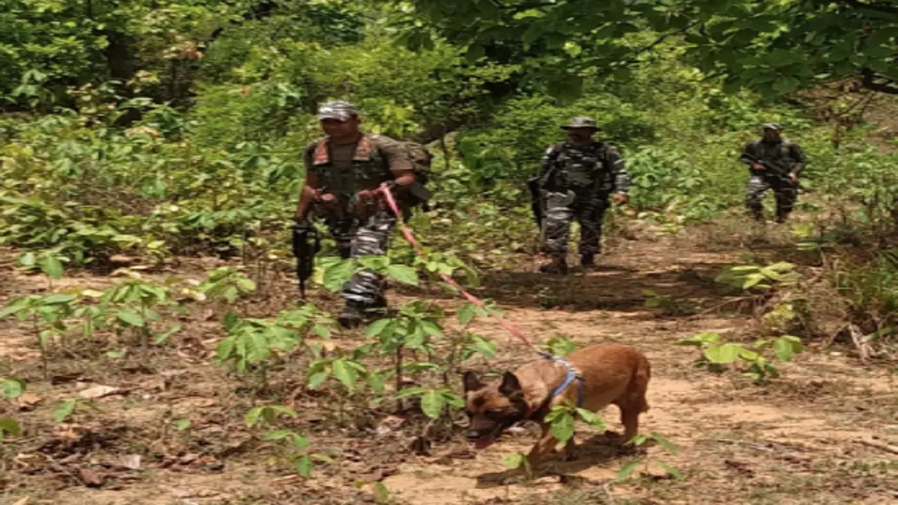 Jharkhand Naxal Bandh: नक्सलियों का झारखंड बंद आज, पुलिस अलर्ट, सर्च ऑपरेशन तेज