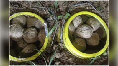 घर में रखे बम को बॉल समझ कर खेलने के दौरान विस्फोट, दो बच्चे हुए घायल