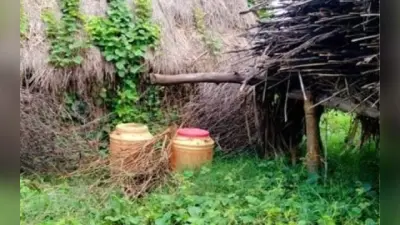 नानूर के बामुनिया गांव में बमों का जखीरा मिलने से इलाके में हड़कंप, पुलिस और बम निरोधक दस्ता पहुंचा