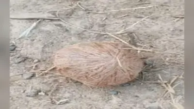 पश्चिम बंगाल : सैंथिया में इलाका दखल को केंद्र कर तृणमूल के दो गुटों में संघर्ष, 40 से अधिक बम बरामद