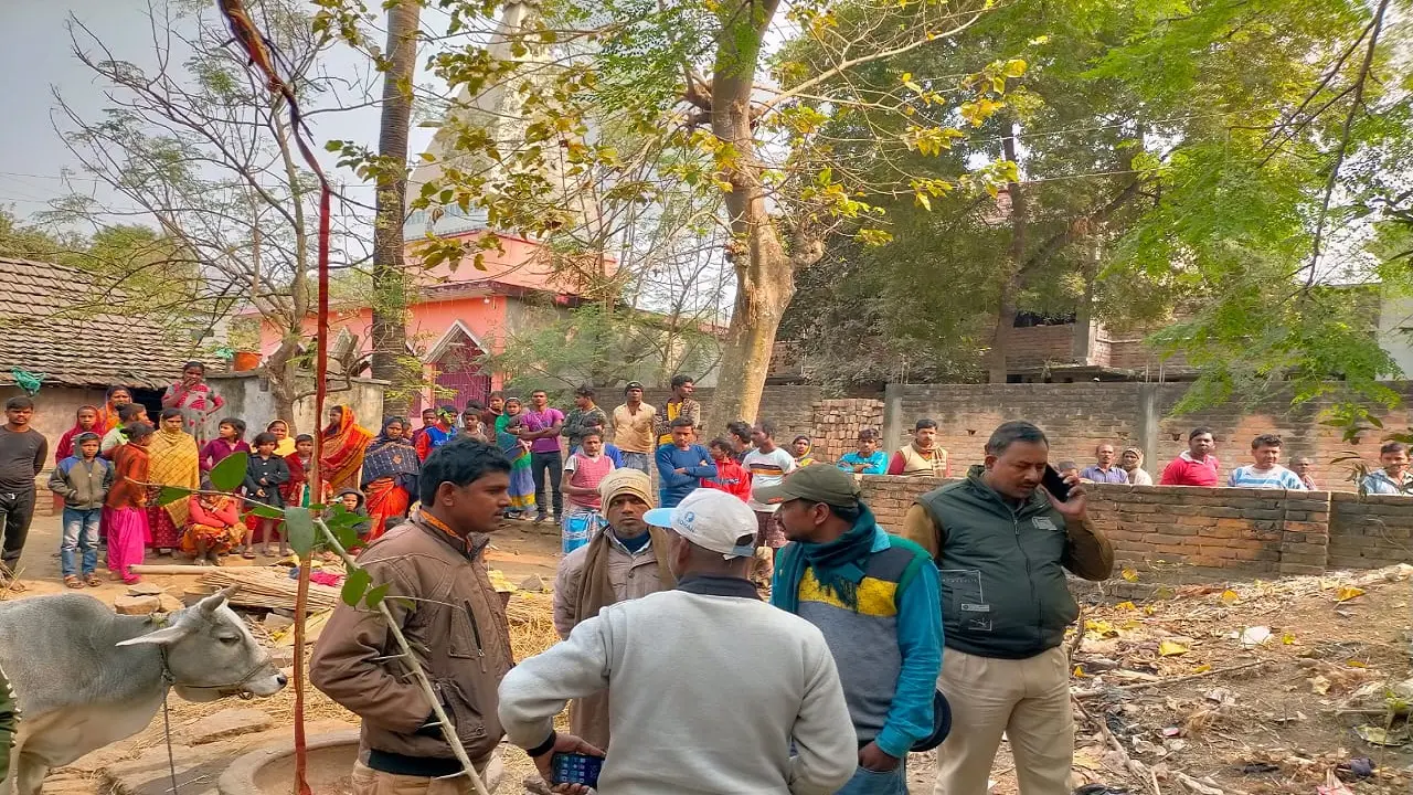 Jharkhand News: क्रिकेट खेलने के दौरान बम फटने से बच्चा घायल, हालत नाजुक, जांच में जुटी पुलिस