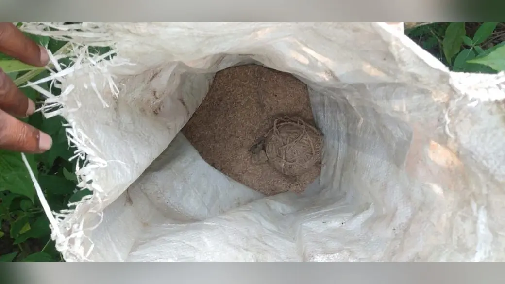 Bihar News: बम विस्फोट मामले में डीएसपी ने की जांच, साला‐बहनोई पर केस दर्ज