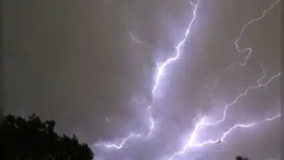 Weather News: ओडिशा में बारिश का कहर, बिजली गिरने से 19 गायों की मौत