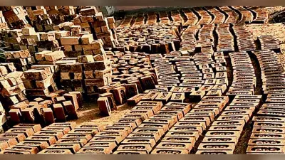 झारखंड के हेमलाल महतो बना रहे हैं गोबर से इको फ्रेंडली ईंट, जानें क्या है इसकी खासियत