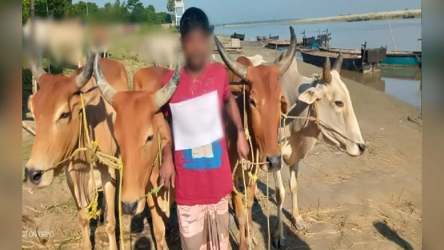 West Bengal: मुर्शिदाबाद बॉर्डर से BSF जवानों ने एक बांग्लादेशी मवेशी तस्कर को किया गिरफ्तार