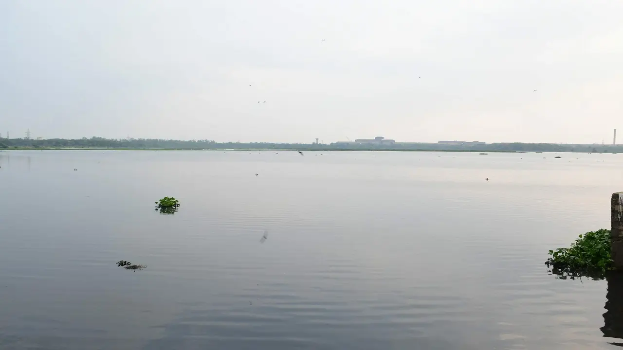 Jharkhand News: 120 मेगावाट Solar Power Plant लगाने की तैयारी में BSL, पानी पर तैरते नजर आयेंगे प्लांट