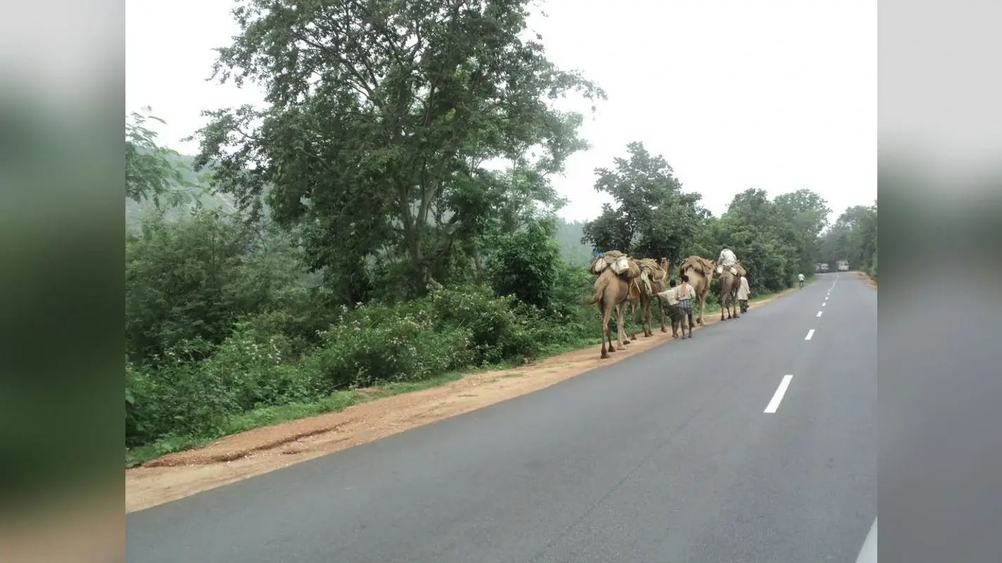 Covid19 in Jharkhand: बुंडू के जंगलों में होगा कोरोना से मरने वालों का अंतिम संस्कार, सरकार ने जमीन चिह्नित किया