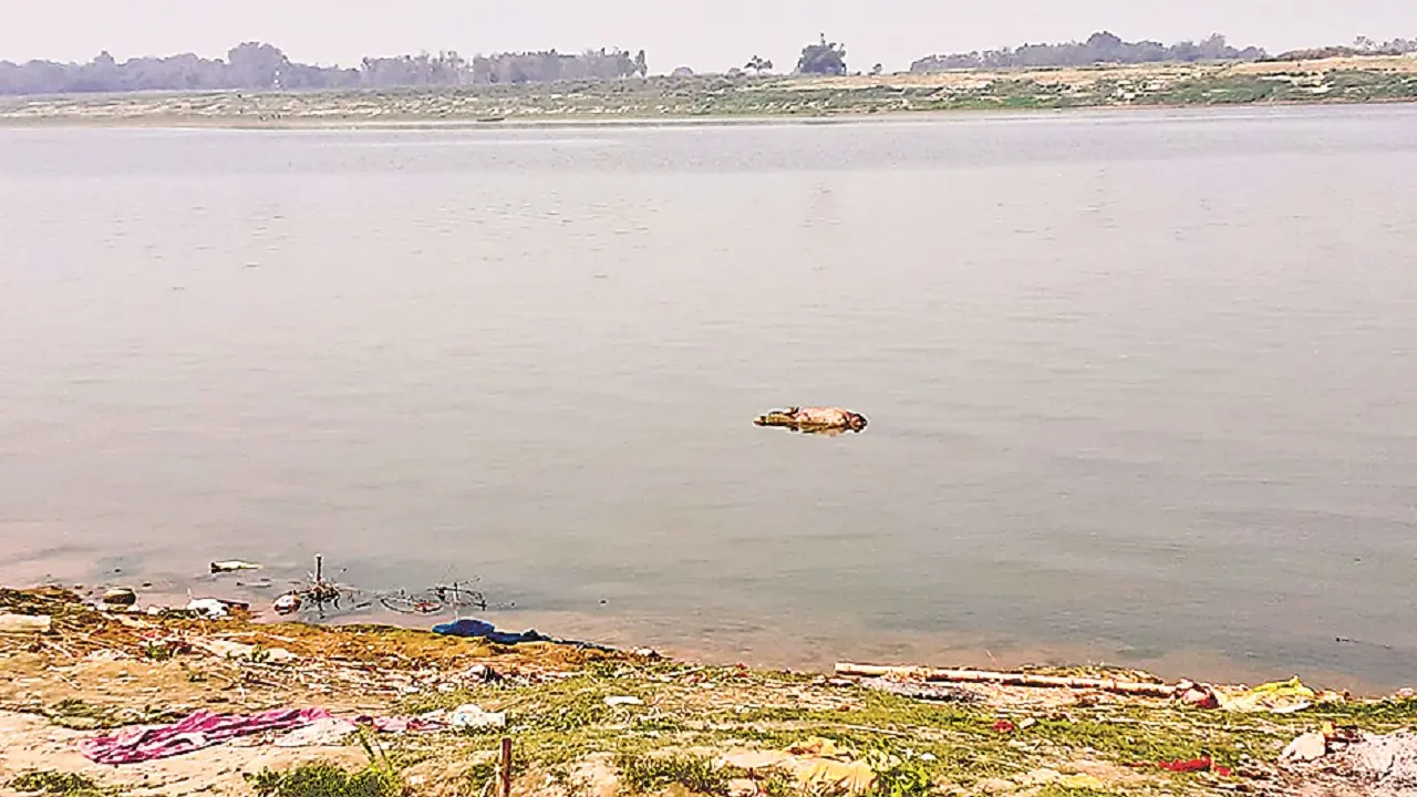 Buxar News: गंगा में रोक के बाद भी बहाया जा रहा शव, कोरोनाकाल में विवाद के बाद लगा था प्रशासनिक पहरा