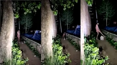 Video : बक्सर में जुए के लिए नहीं दिया पैसा तो दोस्त ने पीट कर किया अधमरा, अस्पताल में चल रहा इलाज