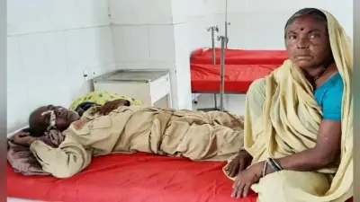 कटिहार में जुगाड़ गाड़ी ने चेकपोस्ट को तोड़ते हुए दो कोरोना योद्धा सिपाही को किया घायल