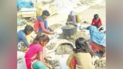 सामाजिक कार्यकर्ता राजीव बनर्जी की याद में की गई सभा, शहरवासियों ने दी श्रद्धांजलि