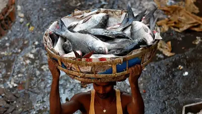 गोरखपुर में 5 एकड़ में बनकर तैयार होगा एयर कंडीशनर फिश मार्केट, जमीन तलाश रहा विभाग